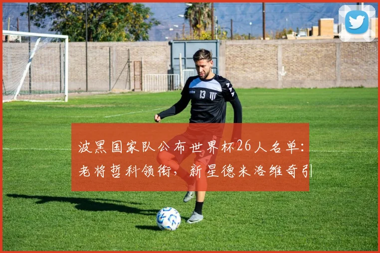 波黑国家队公布世界杯26人名单：老将哲科领衔，新星德米洛维奇引人关注